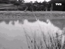 On retrouve d'une part le cheval abandonné, suivant le courant de la rivière, et décrit par un panoramique latéral de gauche à droite