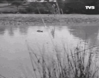 Le plan consécutif dépeint d'autre part Paulette, qui suit la même trajectoire et est filmée selon le même procédé.