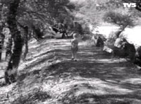 A travers l'ultime plan de cette séquence, le réalisateur va même jusqu'à réunir la fille et le cheval dans le même plan : la caméra passée en contre-champ expose Paulette qui court vers l'animal.